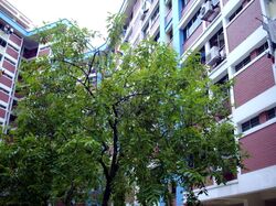 Blk 717 Jurong West Street 71 (Jurong West), HDB 4 Rooms #589203221